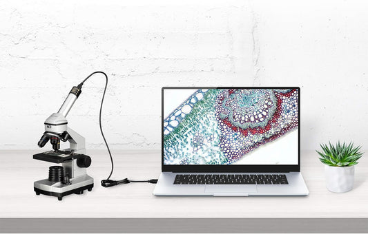 Microscop marire 40x - 1024x